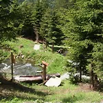 Gasthof Frühstücks- Sonnblickhof Inklusive Sommercard Rauris