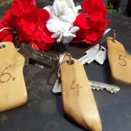 Frühstücks- Sonnblickhof Inklusive Sommercard Gasthof Rauris