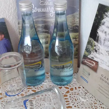 Gasthof Frühstücks- Sonnblickhof Inklusive Sommercard Rauris