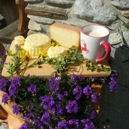 Fruehstuecks- Sonnblickhof Inklusive Sommercard Rauris