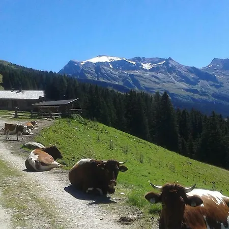 Fruehstuecks- Sonnblickhof