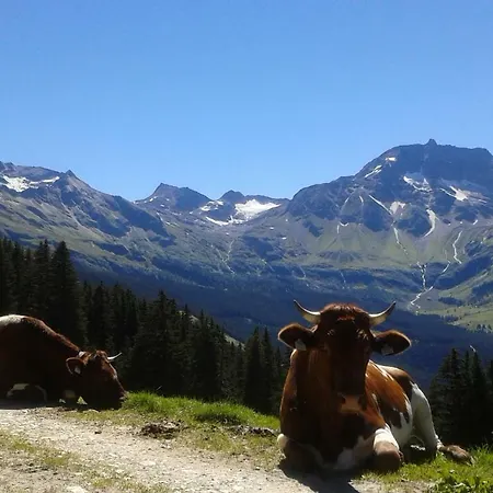 Frühstücks- Sonnblickhof Inklusive Sommercard