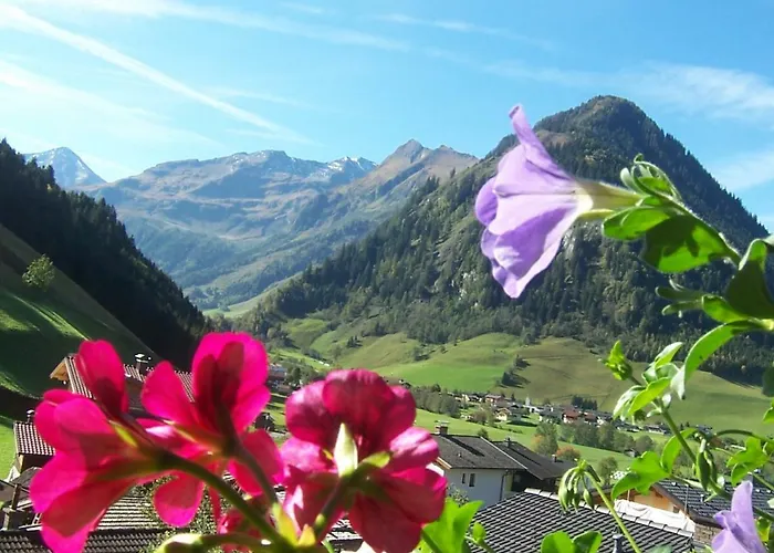 بيت ضيافة Fruehstuecks- Sonnblickhof 3*