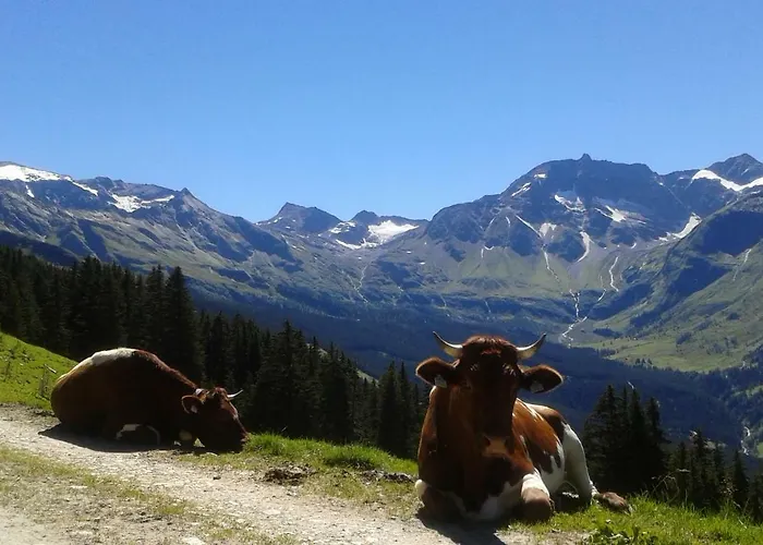 Fruehstuecks- Sonnblickhof